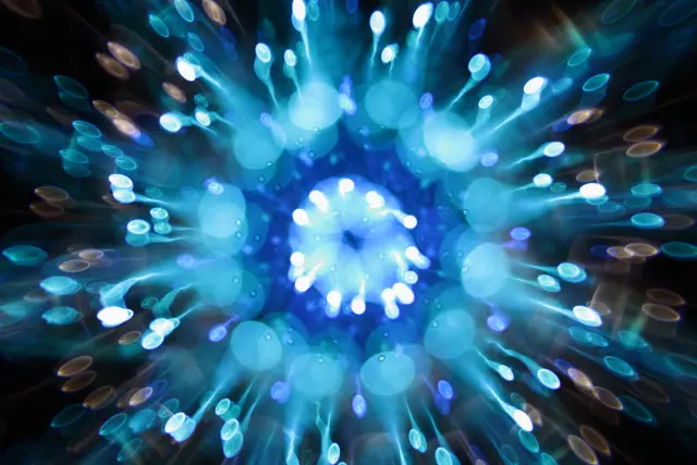 4a790e9a-ef7f-4dcc-973f-45d64313061a