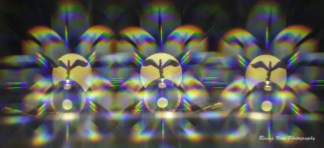 02be39dd-f3f8-46f4-993f-9fc312c77051