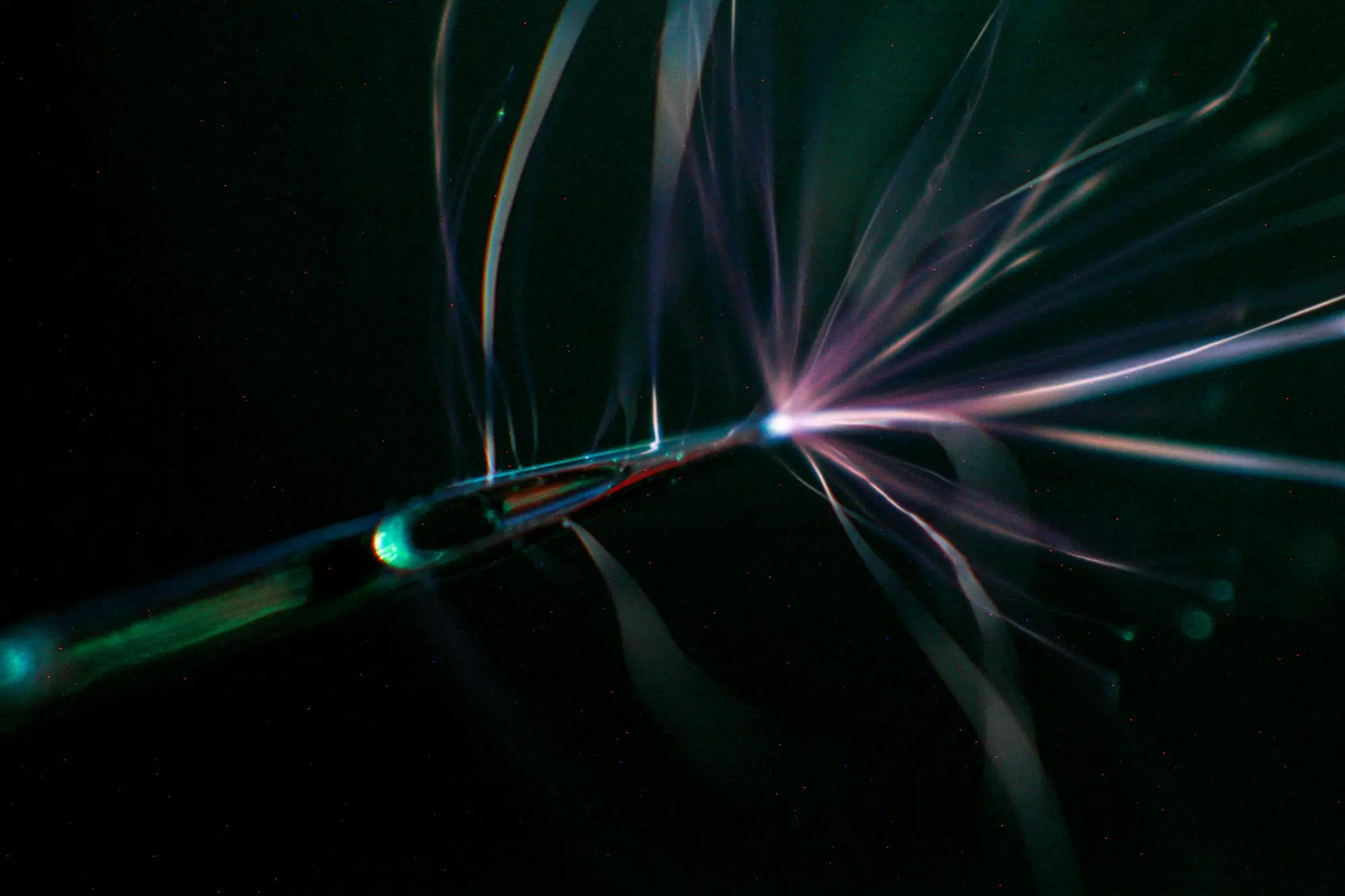 7818c283-42d0-4dee-b233-908797372722