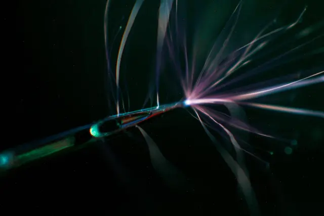 7818c283-42d0-4dee-b233-908797372722