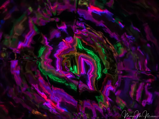 7381397e-65f6-4b74-80ed-a002b1735879