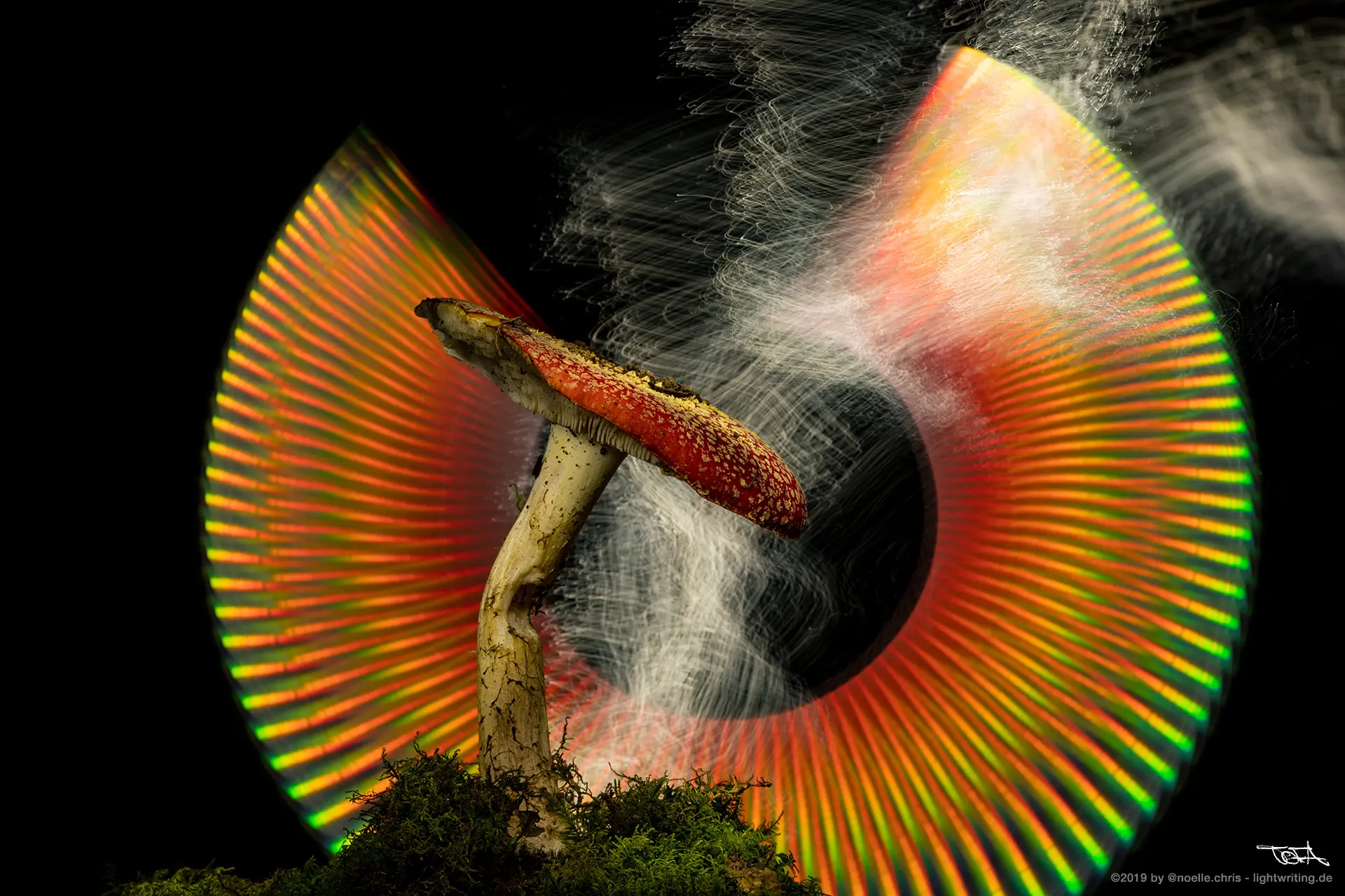 7f078939-a845-4c4d-a1ad-2ca4bbb3ead4