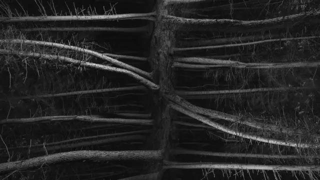 1ba27c22-16d0-4339-b6d8-3e32532b0aae