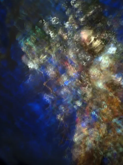 5aabec36-a79d-4f0f-be87-b780f751247f
