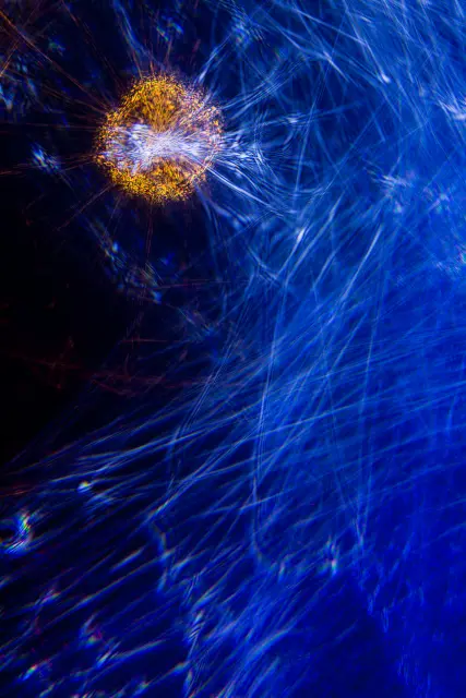 b35613c8-3f5e-47d5-a782-a4282d3eb916