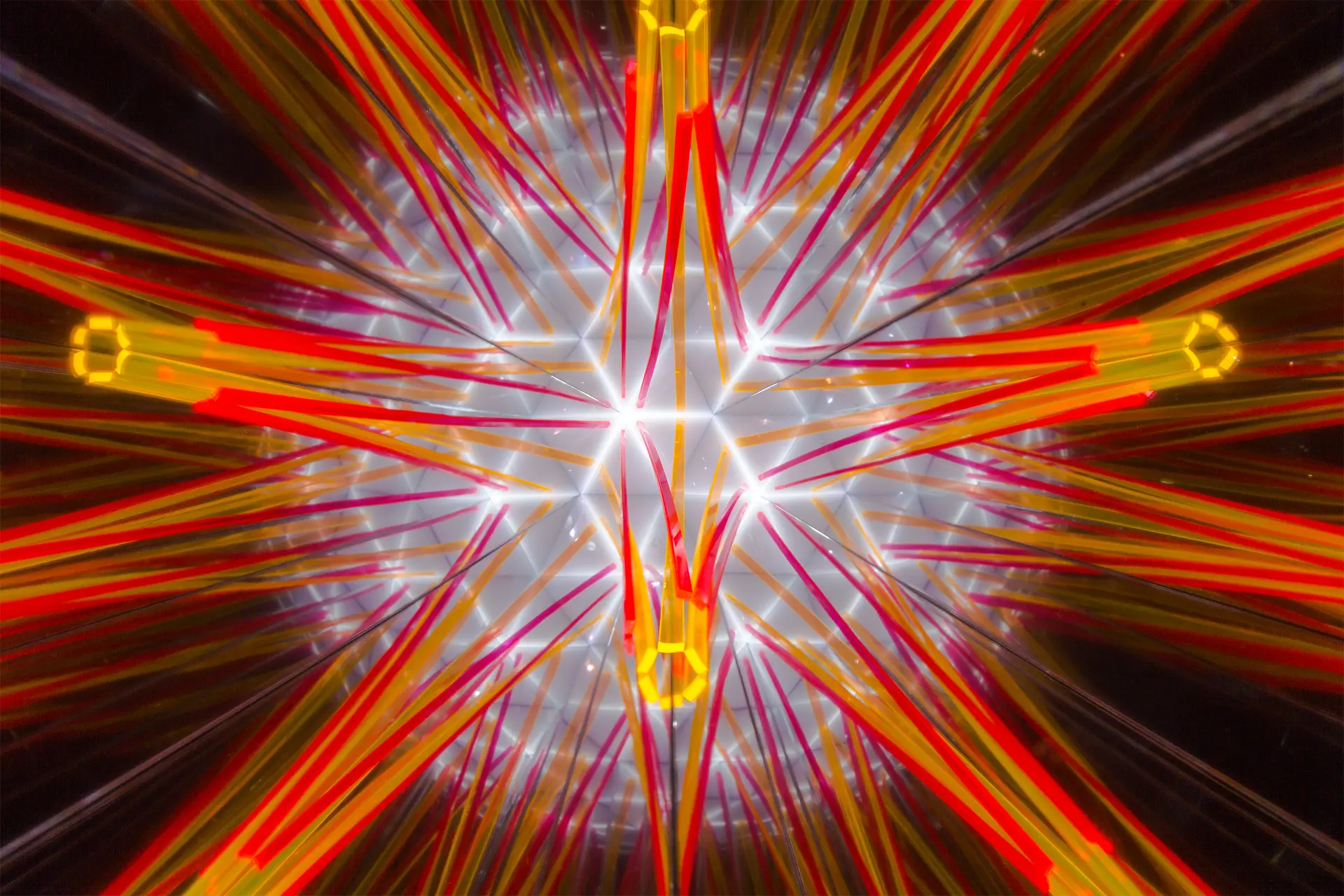 c878c5bb-bc30-46c1-8755-bd81ebc47797