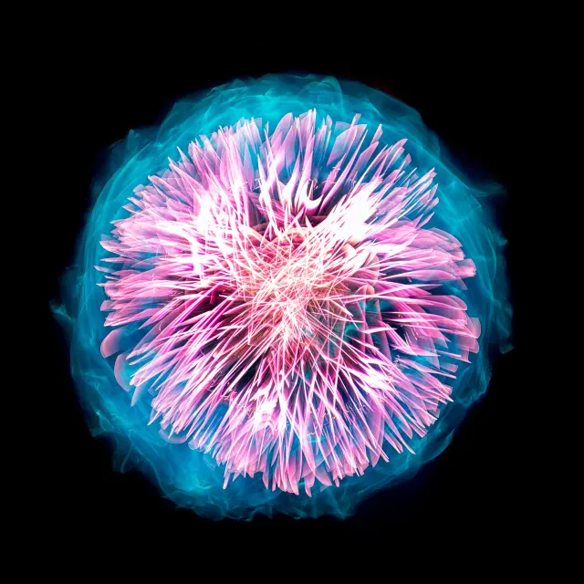 e799e24f-6ae3-4f80-a935-4850ea06a229