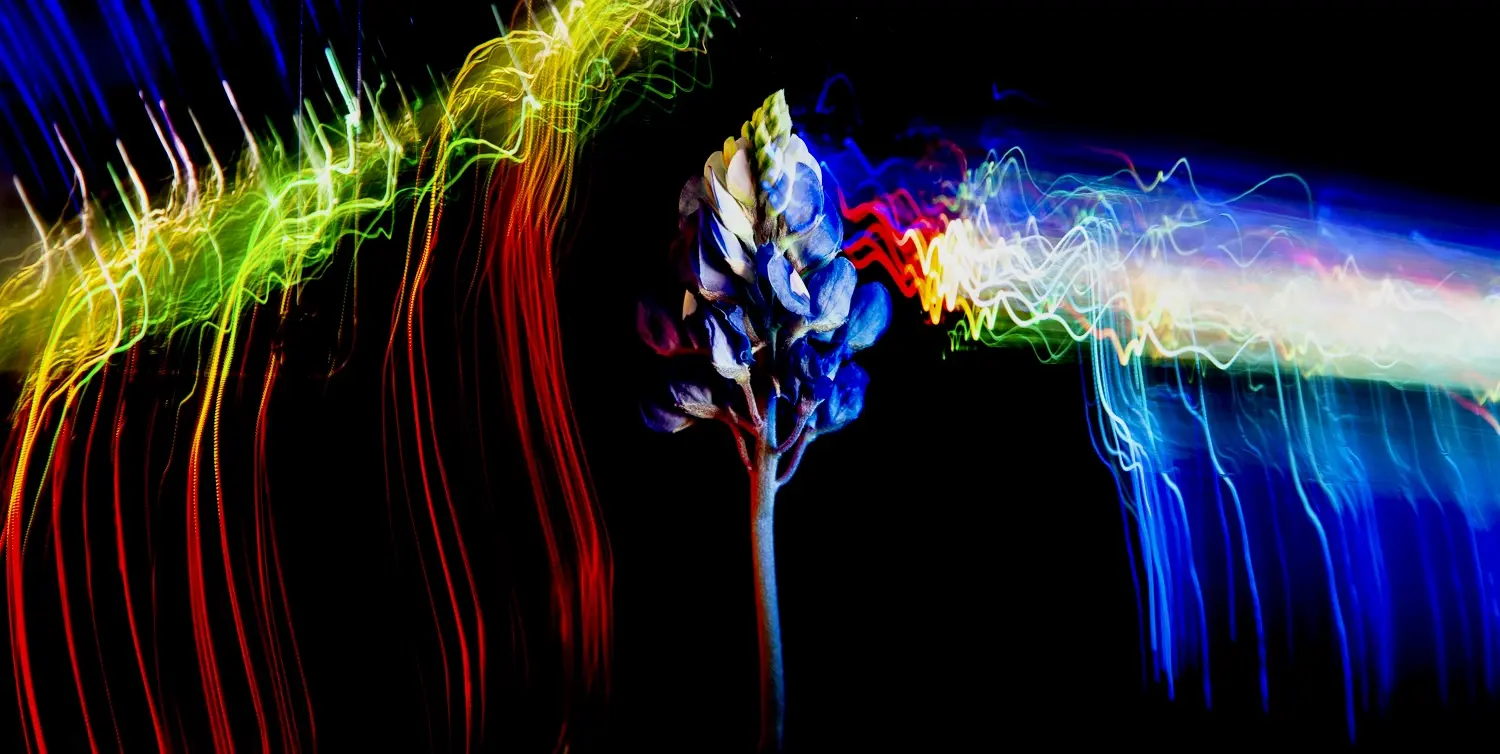 53057831-71c0-4df8-801c-e363eda3b7f6