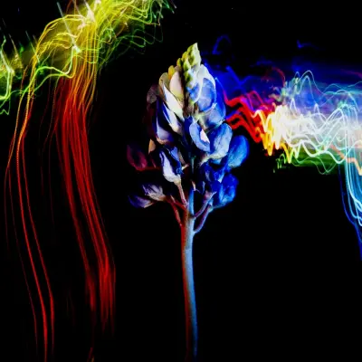 53057831-71c0-4df8-801c-e363eda3b7f6