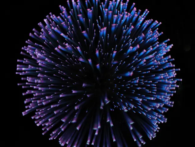 fa8a1473-1d6f-4669-bb5a-157e2b3b33b1