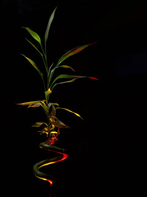 bd30658b-3489-40f1-9fce-9ea217c20520